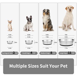 Taglory 2 Cup Stainless Steel Dog Bowls Set of 2 for Food and Water, Silicone Base Anti-Slip, Rust Resistant, Extra Thick Metal Dog Bowl for Cats and Puppies, 17oz, Black