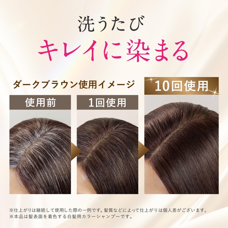 Sastty Carbonated Color Shampoo for Gray Hair (Black) 6.3 oz