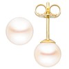 Jobo Women's Gold Pearl Stud Earrings, Yellow Gold