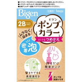 【Over-the-counter drug】 Bigen Pump Hair Dye 2B Beige Brown