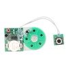 Writeable Sound Chip, Sound Voice Recording Playback Module with Double-Sided