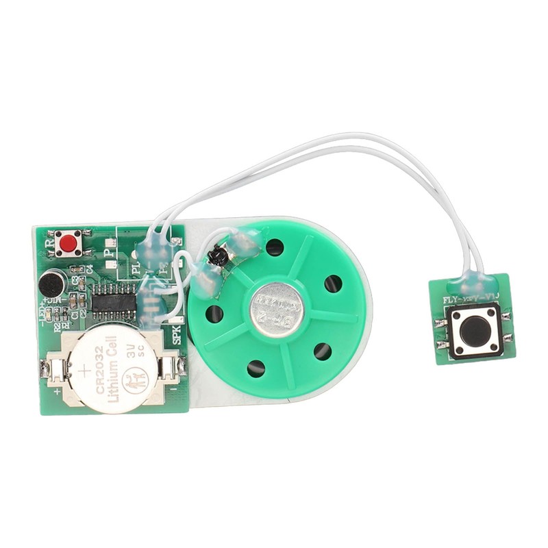 Writeable Sound Chip, Sound Voice Recording Playback Module with Double-Sided