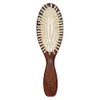 Christophe Robin Travel hairbrush