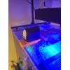 Neptune Systems Apex Feeder 3D Printed Bracket for Eurobraced Aquarium