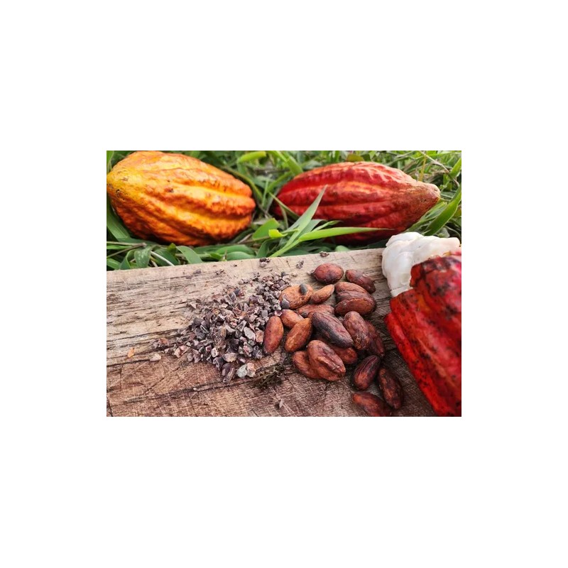 Colombian Cacao Granos De Cacao Crudos 100% Puros De