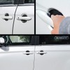 [Share Style] Alphard Vellfire 30 Series Rubber Door Protector 4p
