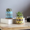 COLOAPT Succulent Plant Pots - 3.1 inch Ceramic Succulent Planter
