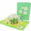 Pop-up Greeting Card with Daisies & Butterflies - Includes Insert