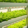 LED Plant Grow Light Strips for Indoor Plants Red &