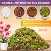 Riare 4QT Orchid Potting Mix for Repotting- Orchid Repotting Kit