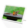 Classic Rectangle Magnet with Stand - Robin Bird Bath Cute