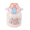 Insulated Water Bottle 680ml Capacity Stainless Steel Tea Flask for