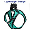 Pawtitas Dog Vest Harness Made with Breathable Air Mesh |