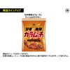 Koikeya Sweet and Spicy Karamucho Yannyomudori Chicken 53G