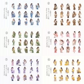 Seal, Collage, Assortment, Flake Stickers, Retro, Fashionable, Girls (Fog)