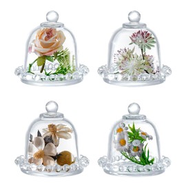 MyGift Set of 4 Mini Glass Cloche Domes with Scalloped Base – Small Round Display Covers for Trinkets, Keepsakes, Jewelry, Collectibles, Party Favors, Table Decorations, and Home Décor