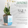 alqua 17CM Amber Transparent Orchid Pot – Round Self Watering