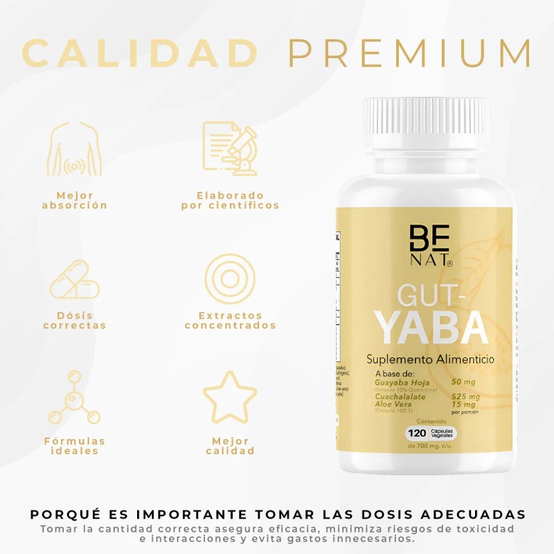 Hoja Guayaba 10 Quercitina Sbila Benat 700 Mg 120 Caps