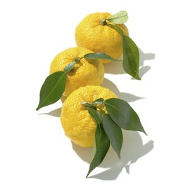 Japanese Yuzu Salt (3.5 oz) - Gluten Free, Vegan, Popcorn, Cocktail Rim, Flavoring, Yakitori, Tempura, White Fish, Sashimi, Sushi/Kinjirushi Brand