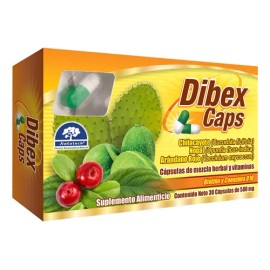 Dibex Caps 30 Caps 500 Mg Vitamina C Zinc Chilcayote Nopal Sabor N/a