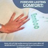 Rayon Derived from Bamboo Pillows Standard Size - [Adjustable] Shredded