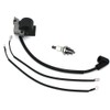 Ignition Coil Module with Spark Plug BM6A Fits McCulloch 333