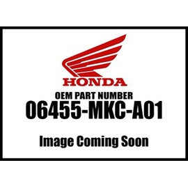 Honda 2018 Goldwing Gl Front Pad Set 06455-Mkc-A01 New Oem