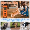 Stray Barking Prevention, Dog Ultrasonic Barking Prevention, Ultrasonic Barking Prevention