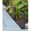 Tommy Bahama 12-Lumen Solar Bollard Light with Tree Design LED