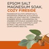 Dr Teal's Epsom Salt Magnesium Soak, Cozy Fireside, 3 lbs