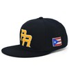 Puerto Rico Snapback Hat US Embroidery Flag 3D PR Flat