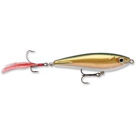 Rapala XRSB07 Currican X-Rap Subwalk, Gold Olive