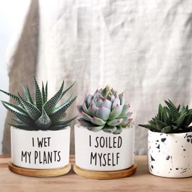 DOFAFALA 2 Pieces I Wet My Plants/I Soiled Myself Funny 3.5 inch Ceramic Flower Planter Pot with Bamboo Tray, Home Kitchen Office Decor Housewarming Gift Women, Friends, Coworker