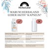 Herbaland Liber-Aktiv* Capsules | Milk Thistle, Artichoke & Dandelion |