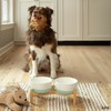 Ilyapa Ceramic Dog Bowls - Elevated Dog Bowl Stand for