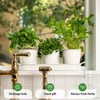 Herb Planter Indoor | Grow Fresh Herbs At Home |