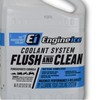 Engine Ice Flush and Clean and Motorcycle Combo Kit, 2