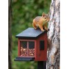 Wildlife Garden WG313 Squirrel Feeder Red Wooden Feeder