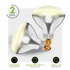 250R40/1 250-Watt, Incandescent R40 Reflector, Clear Head Lamp, Heat Flood