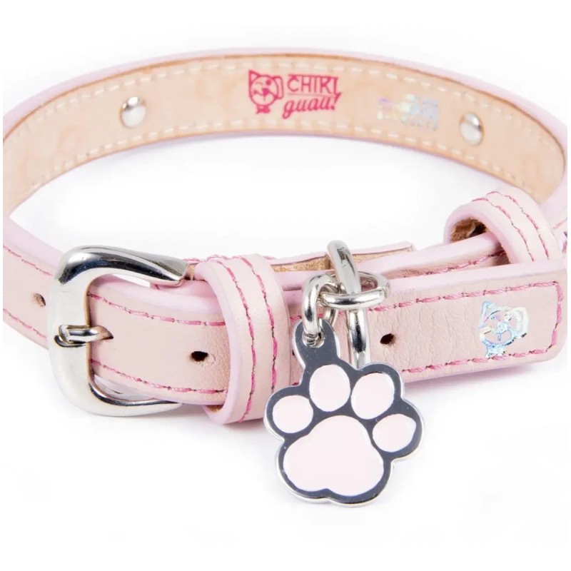 Collar Piel Perro Lujo Con Placa De Identificación Grabada