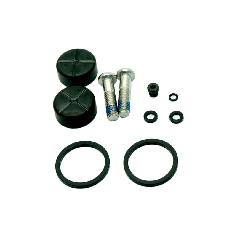 CALIPER SERVICE KIT 2 PISTON 21MM RVL D1