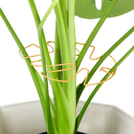 Yeomant 6PCS Iron Monstera Plant Support, Uniquely Designed Indoor Plant Accessories, Stable Plant Support Stakes for Indoor Plant, Turtle Shell Bamboo Clamp Set for Thriving Growth