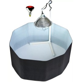 Little Giant DELUXE CHICK BROODER KIT POLY CORRAL PEN & BULB & LAMP & STAND FOR BABY CHICKENS