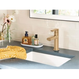 Moen Meena Bronzed Gold One-Handle Single Hole Modern Bathroom Sink Faucet with Optional Deckplate and Drain Assembly, 84794BZG