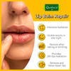 Qualuca Lip Balm Repair with Calendula & Vitamin A, Lip