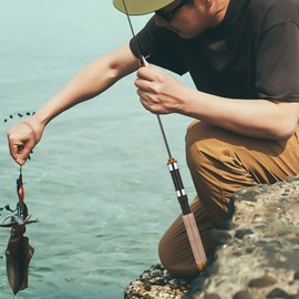 Alipis Telescopic Fishing Rod: 64cm Portable Carbon Fiber Mini Fishing Rod - Pen Rod - Winter Tackle Tool for Travel Saltwater Freshwater Bass Trout