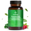 Vitabay Magnesium-L-Threonate 2000mg - 120 Vegan Liposomal Magnesium L Threonate