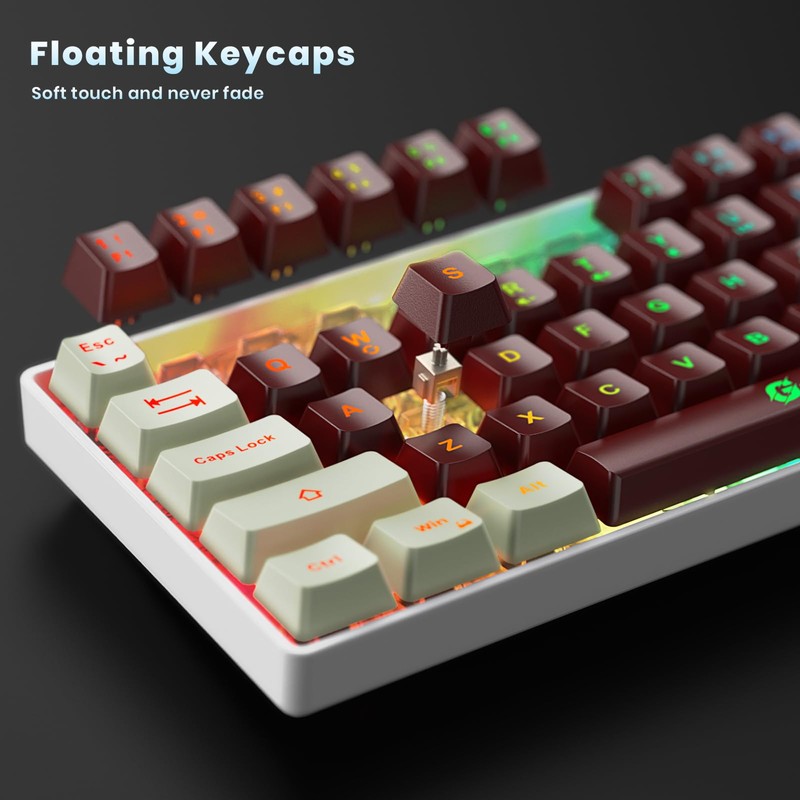 GEODMAER 65% Wireless Gaming Keyboard, LED Backlit Gaming Keyboard, 68
