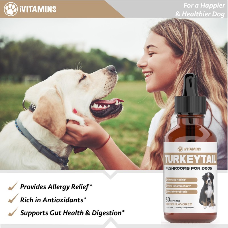 Turkey Tail Mushroom for Dogs | Helps to Boost the