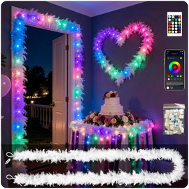 Star Vision Feather Rope Lights with LED RGB, USB Plug in with App & Remote Control, Dimmable Color Changing, Party Wedding Home Decor for Bedroom Christmas & Festivals, 13ft, White